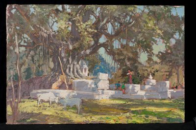 Kawardha Well and Banyan Tree by Tim Scott Bolton